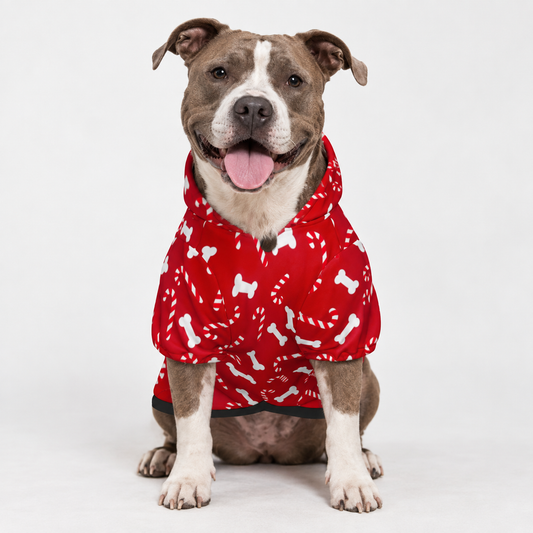 Candy Cane Holiday Pet Hoodie