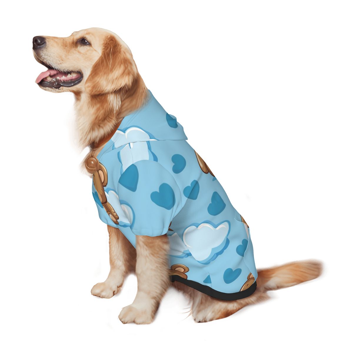 Image of Pet Size Chart