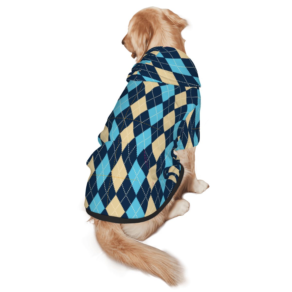 Dog wearing Blue and Yellow Argyle Pet Only Hoodie (Add-on) pet hoodie back view