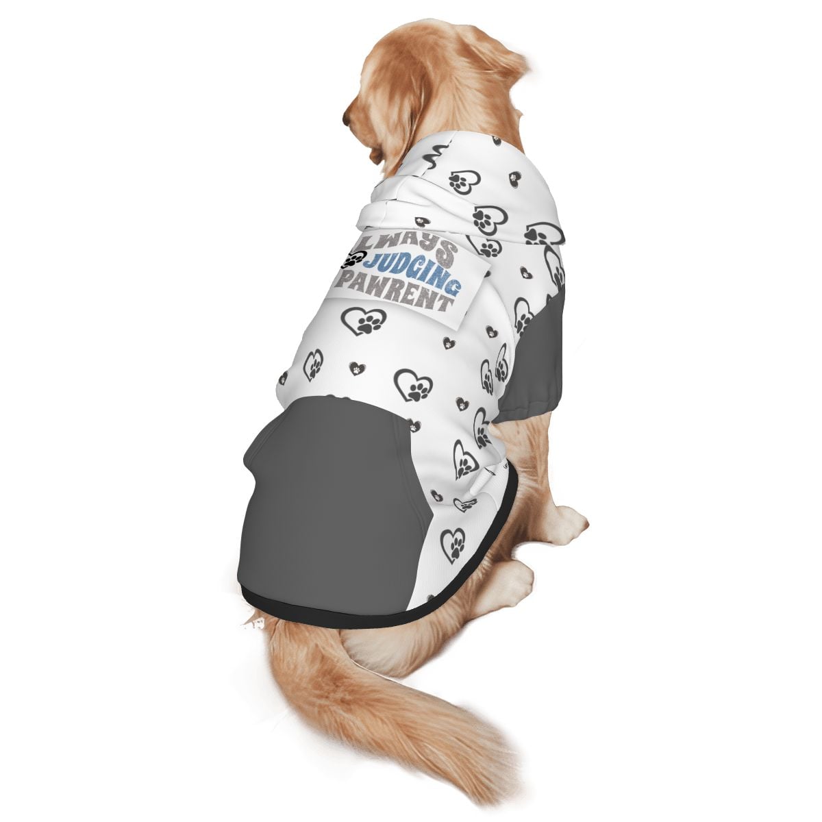 Dog wearing Always Judging Pet Hoodie Back View