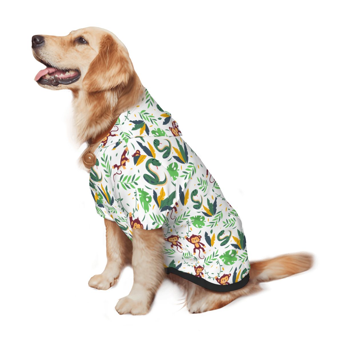 Image of Pet Size Chart