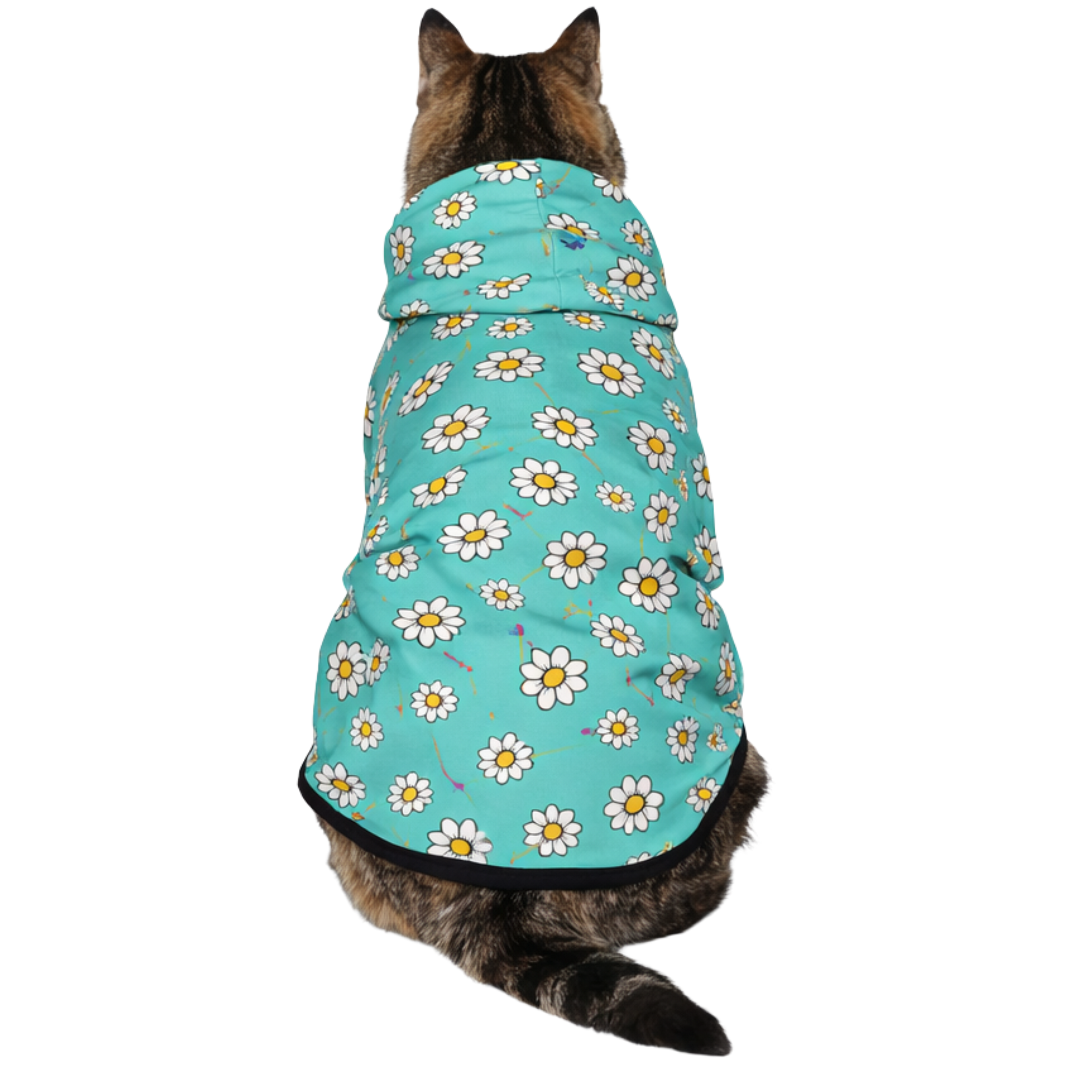 Dog wearing All over Print Daisies Pet Add-On back view