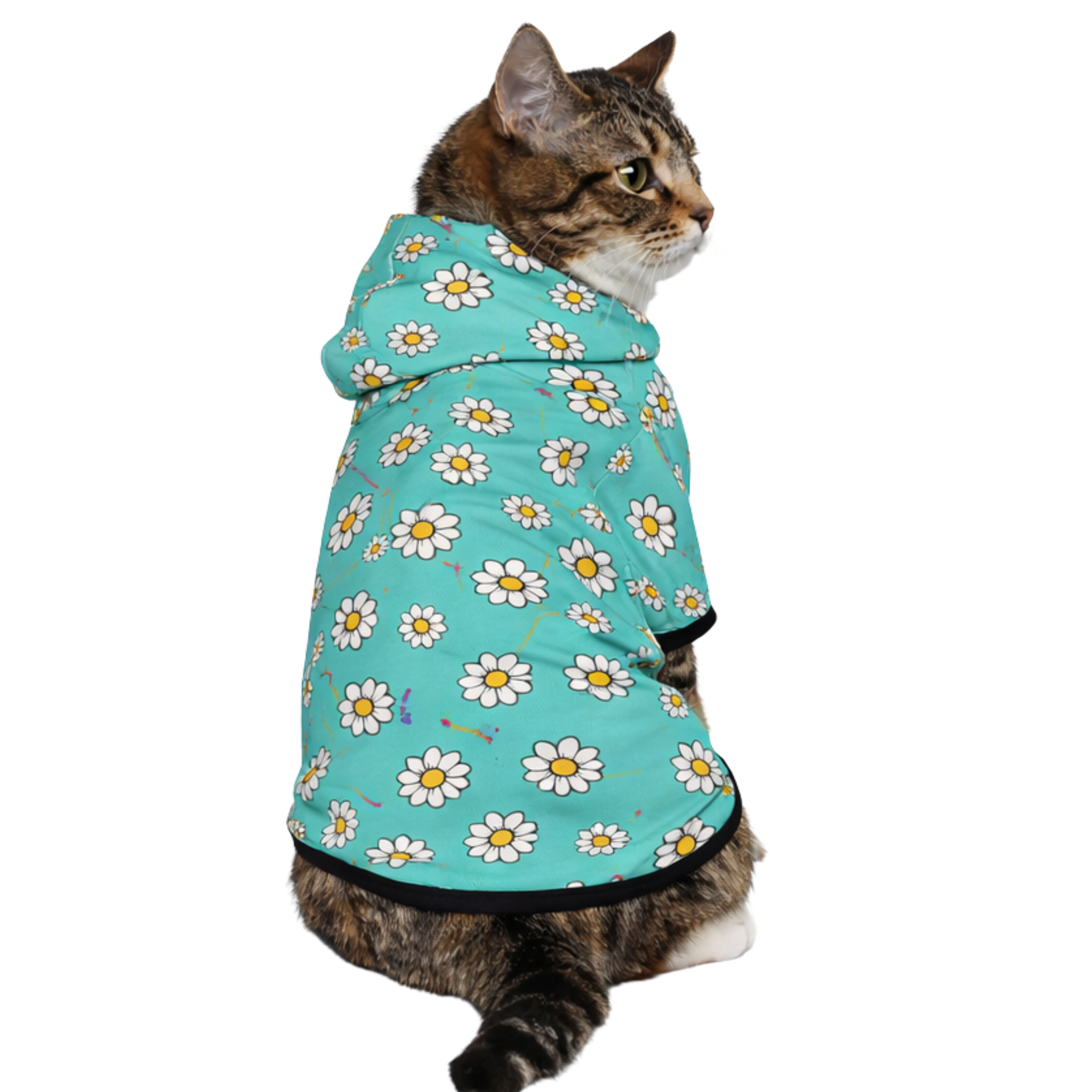 Dog wearing All over Print Daisies Pet Add-On side view