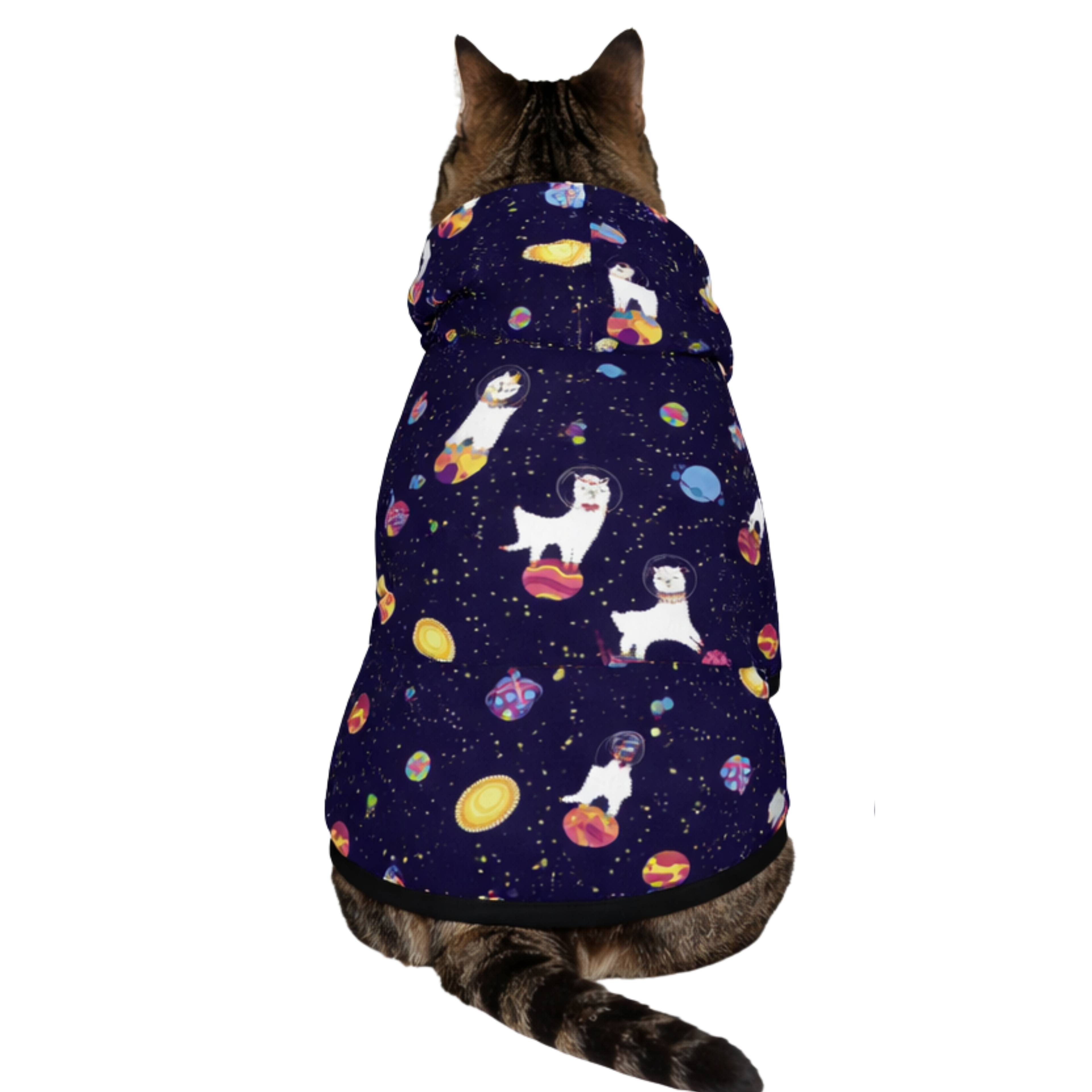 Dog wearing Night Llama Add-On back view