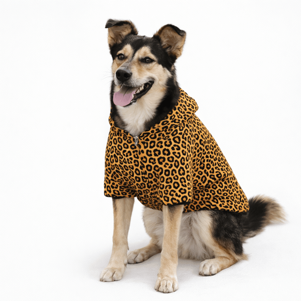 Leopard Lips and Pattern Pet and Human Hoodie Set - FluffnCoBlackSSmatchingset