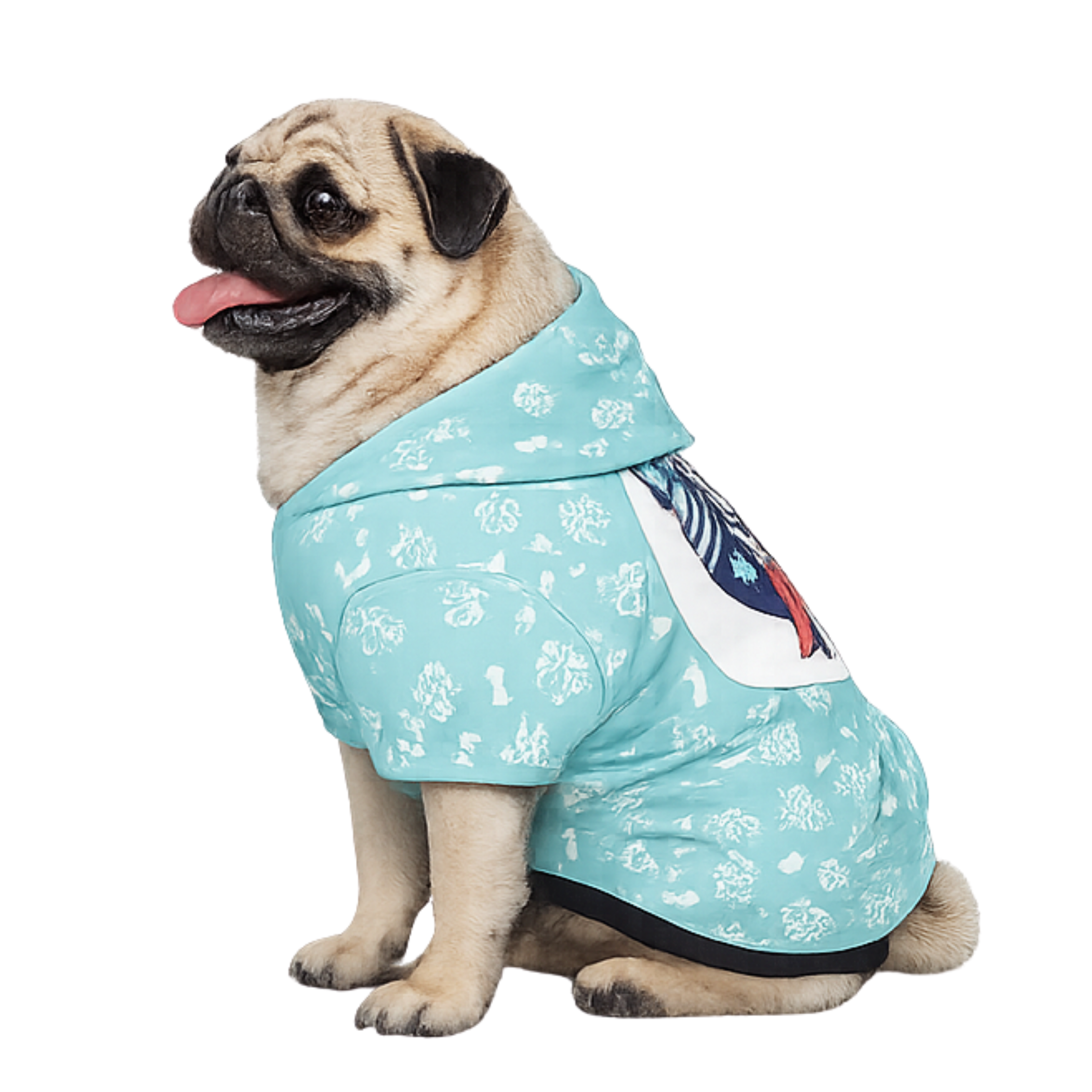 Dog wearing Pug Love Add-On back view