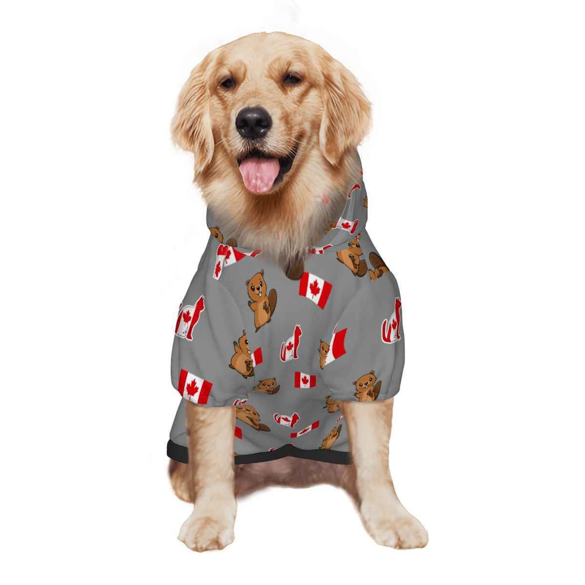Canada Themed Matching Hoodies for Pet and Owner Set