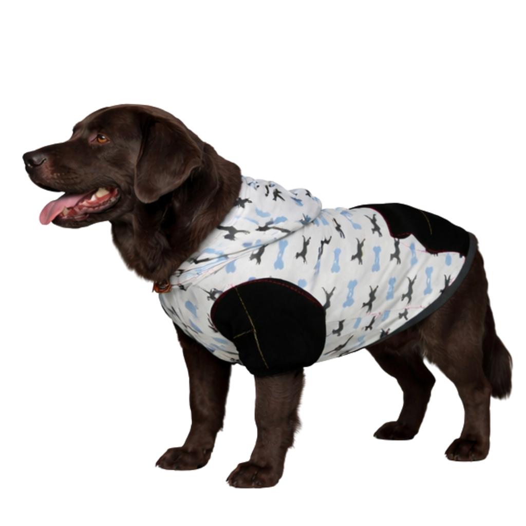 Image of Human Size Chart