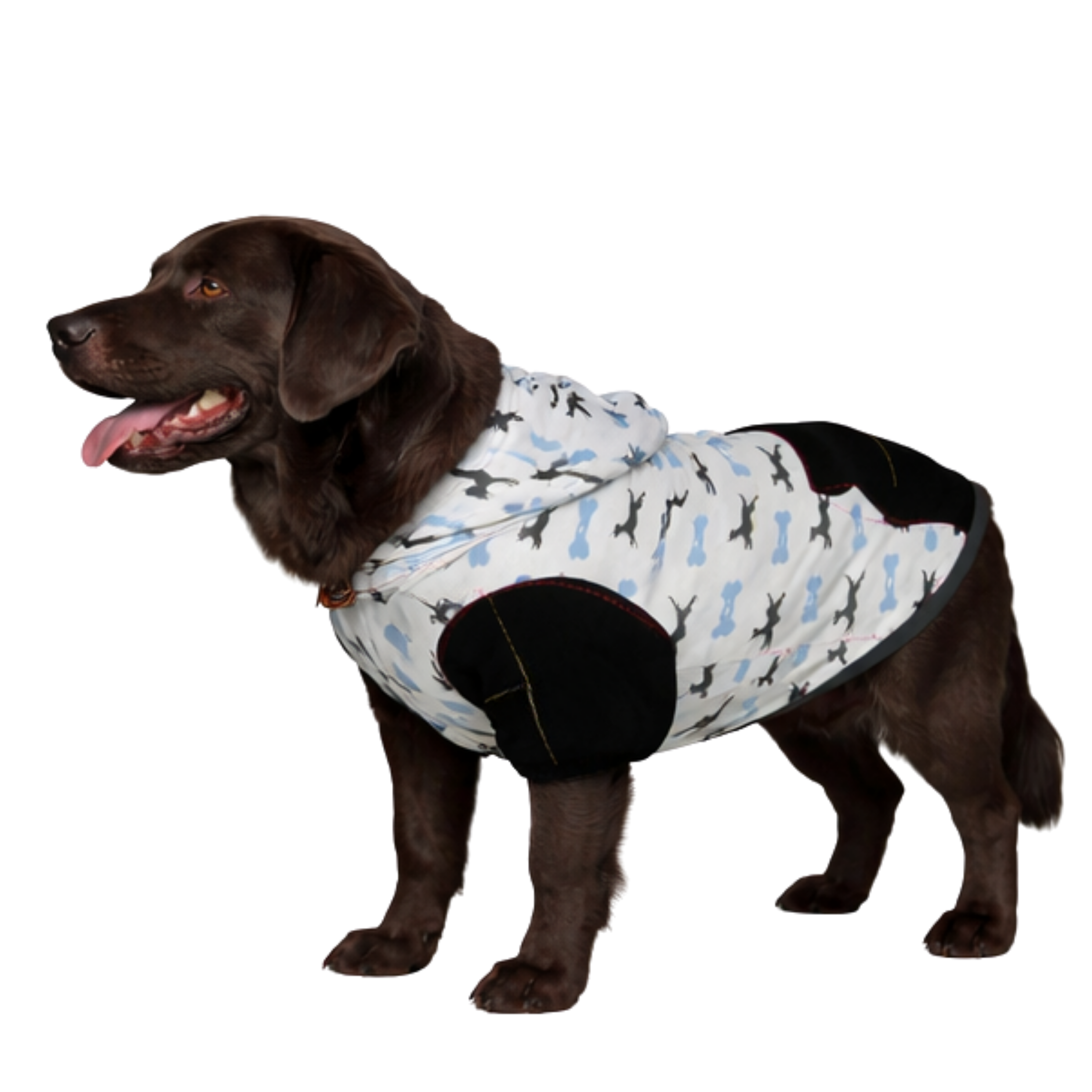 Image of Human Size Chart