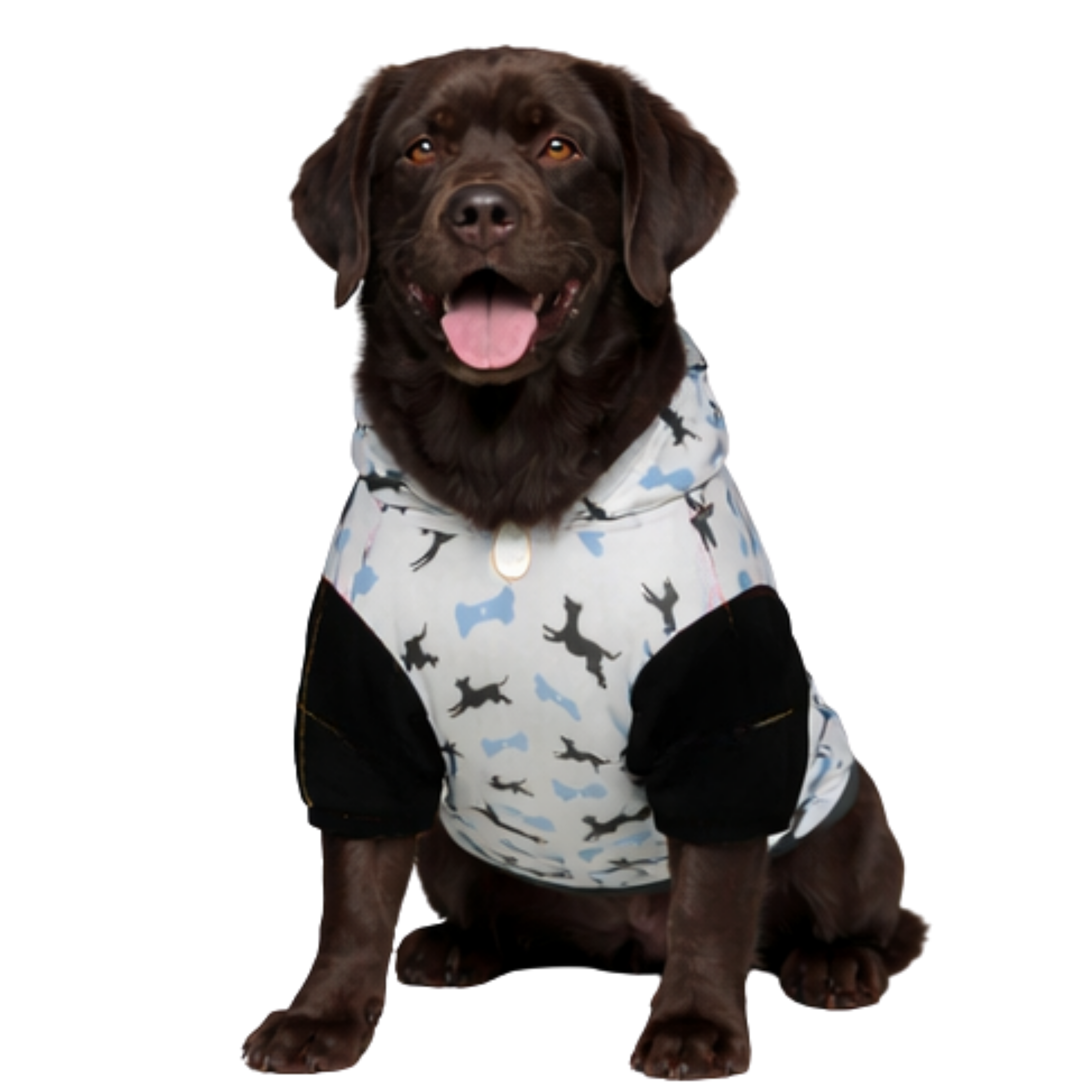 Dog wearing  All Food Must Go to Lab Pet Hoodie Side View 2