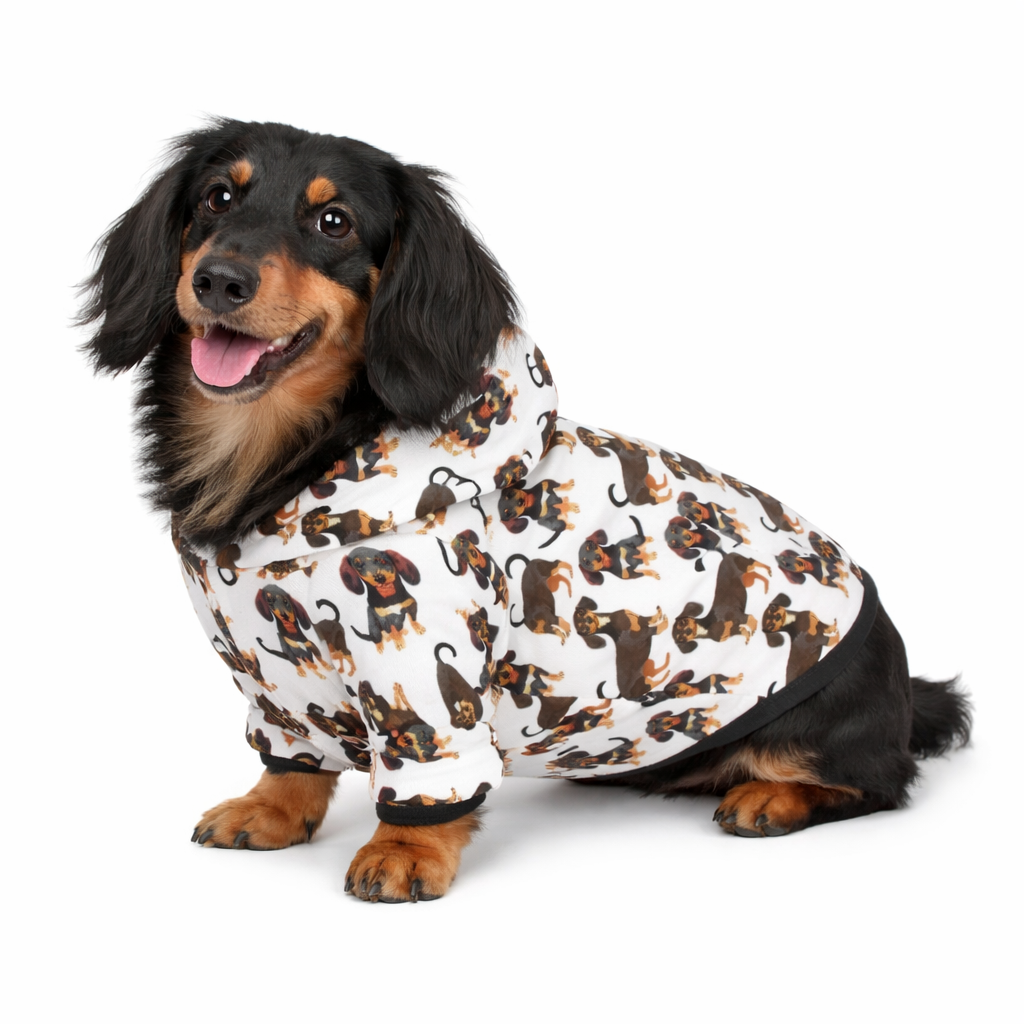 Dog wearing Low Rider Dachshund Back View