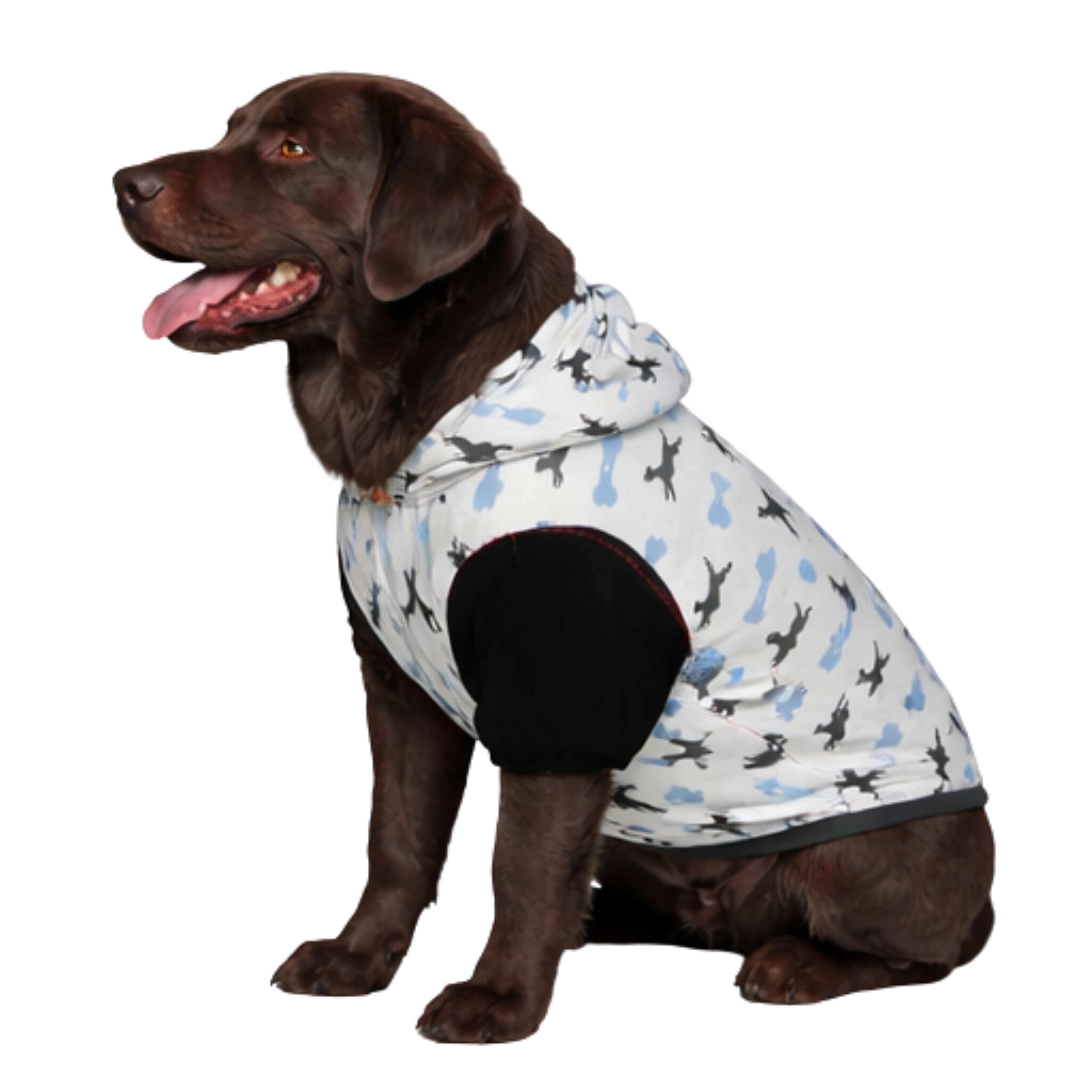 Dog wearing All Food Must Go to Lab Pet Hoodie Back View