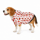 Strawberry - Pet