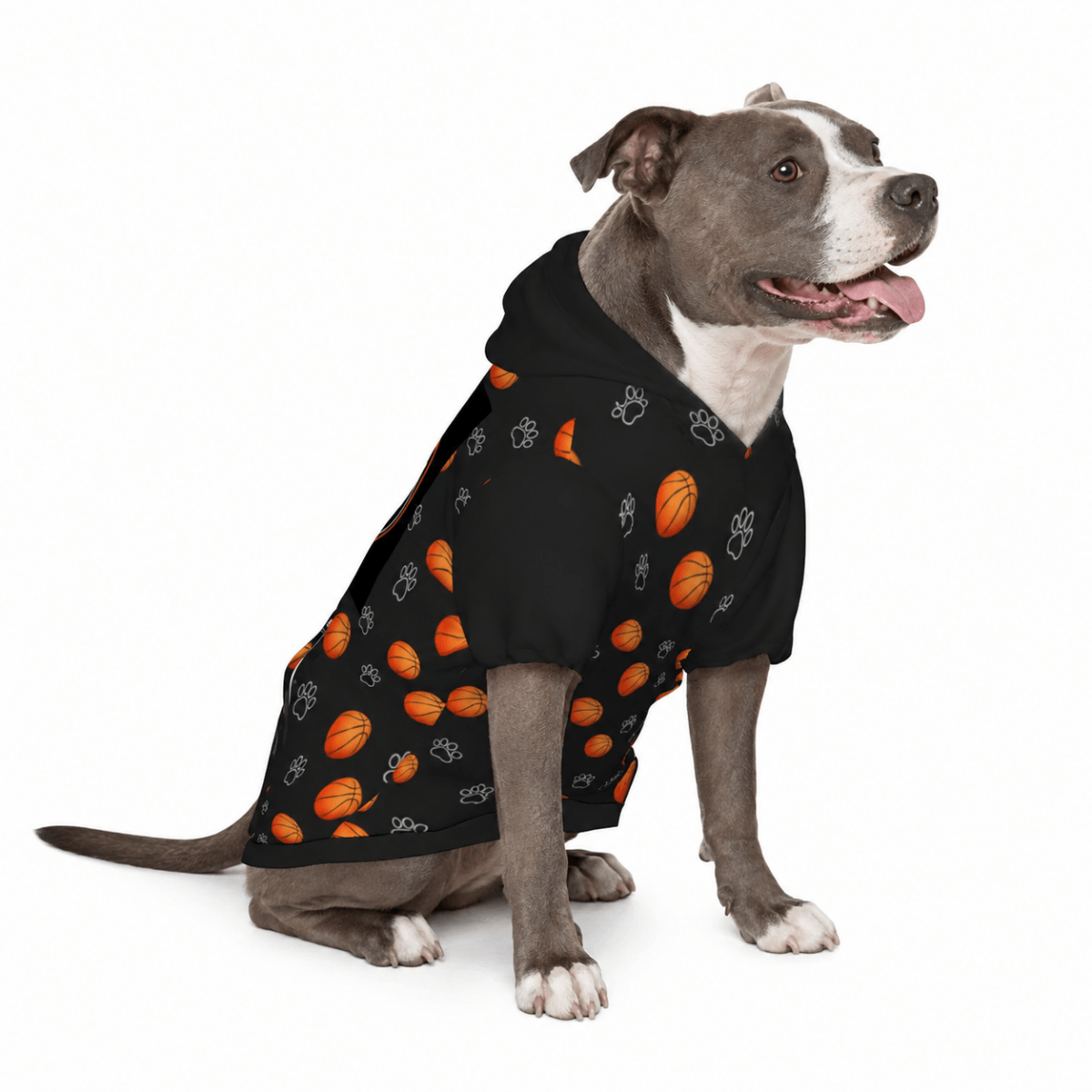 Basketball Head Coach & Mascot Pet and Owner Hoodie Set - FluffnCoPigment BlackxsS