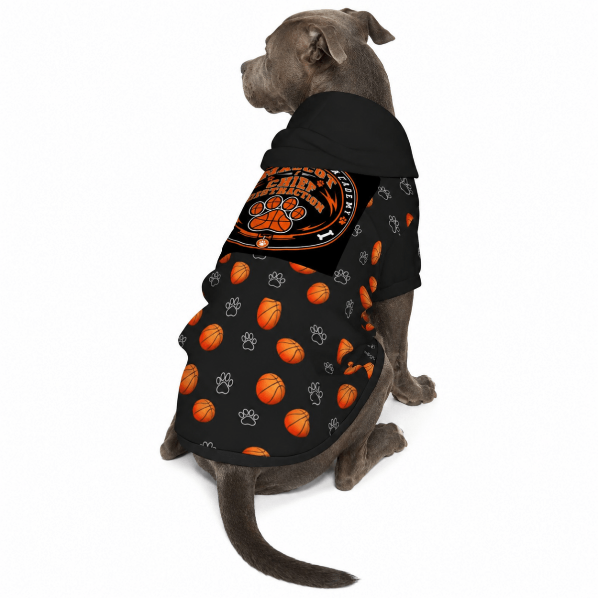 Basketball Head Coach & Mascot Pet and Owner Hoodie Set - FluffnCoPigment BlackxsS