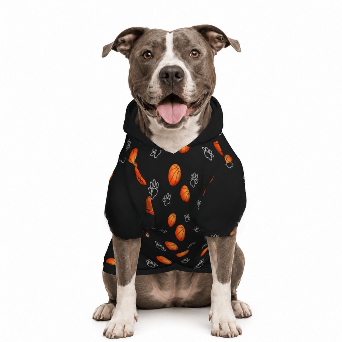 Basketball Head Coach & Mascot Pet and Owner Hoodie Set - FluffnCoPigment BlackxsS
