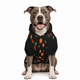 Basketball Pet Hoodie