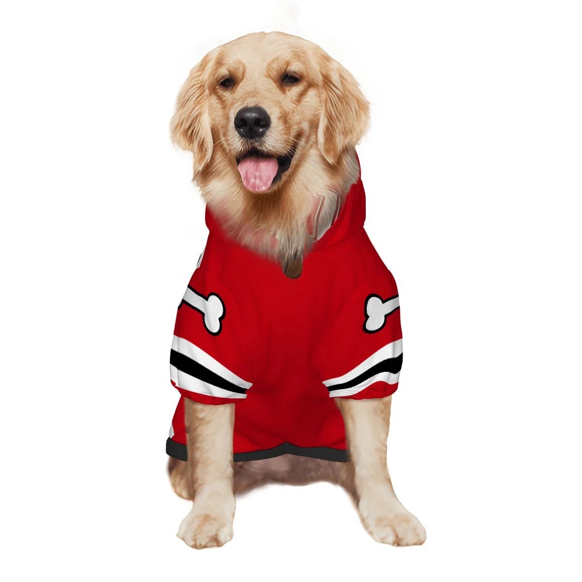 Best Coach Human and Pet Player Hoodie Set - FluffnCoSBlackSmatchingset