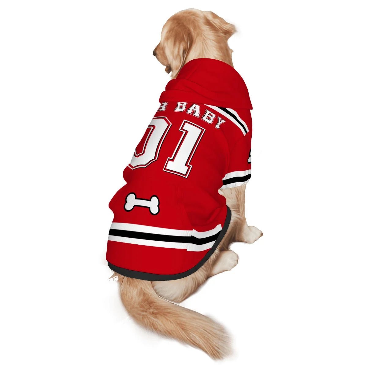 Best Coach Human and Pet Player Hoodie Set - FluffnCoSBlackSmatchingset