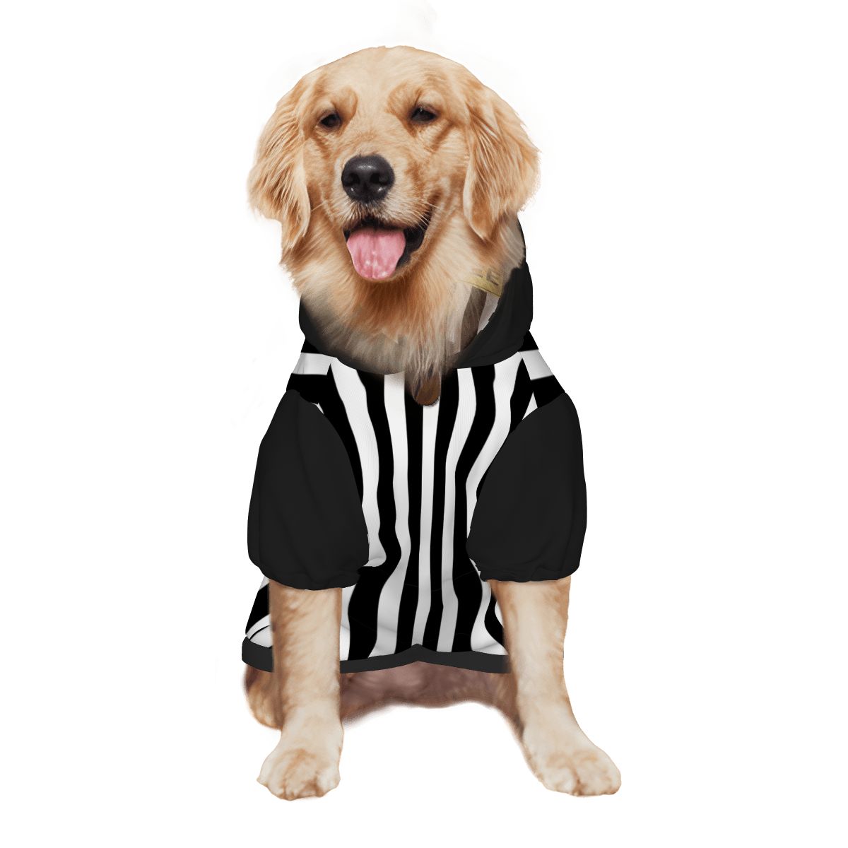 Best Coach Human and Pet Referee Hoodie Set - FluffnCoBlue MagicxsSmatchingset