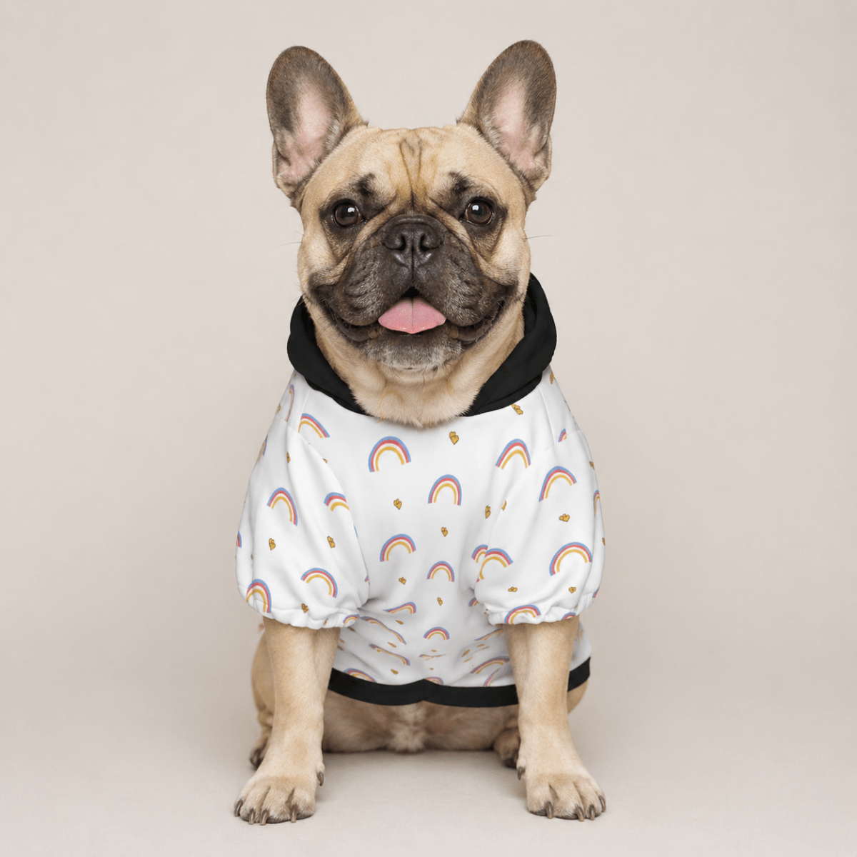 Dog wearing a white shirt with rainbow patterns on a plain background