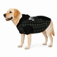 Waiting at the Door Pet Hoodie