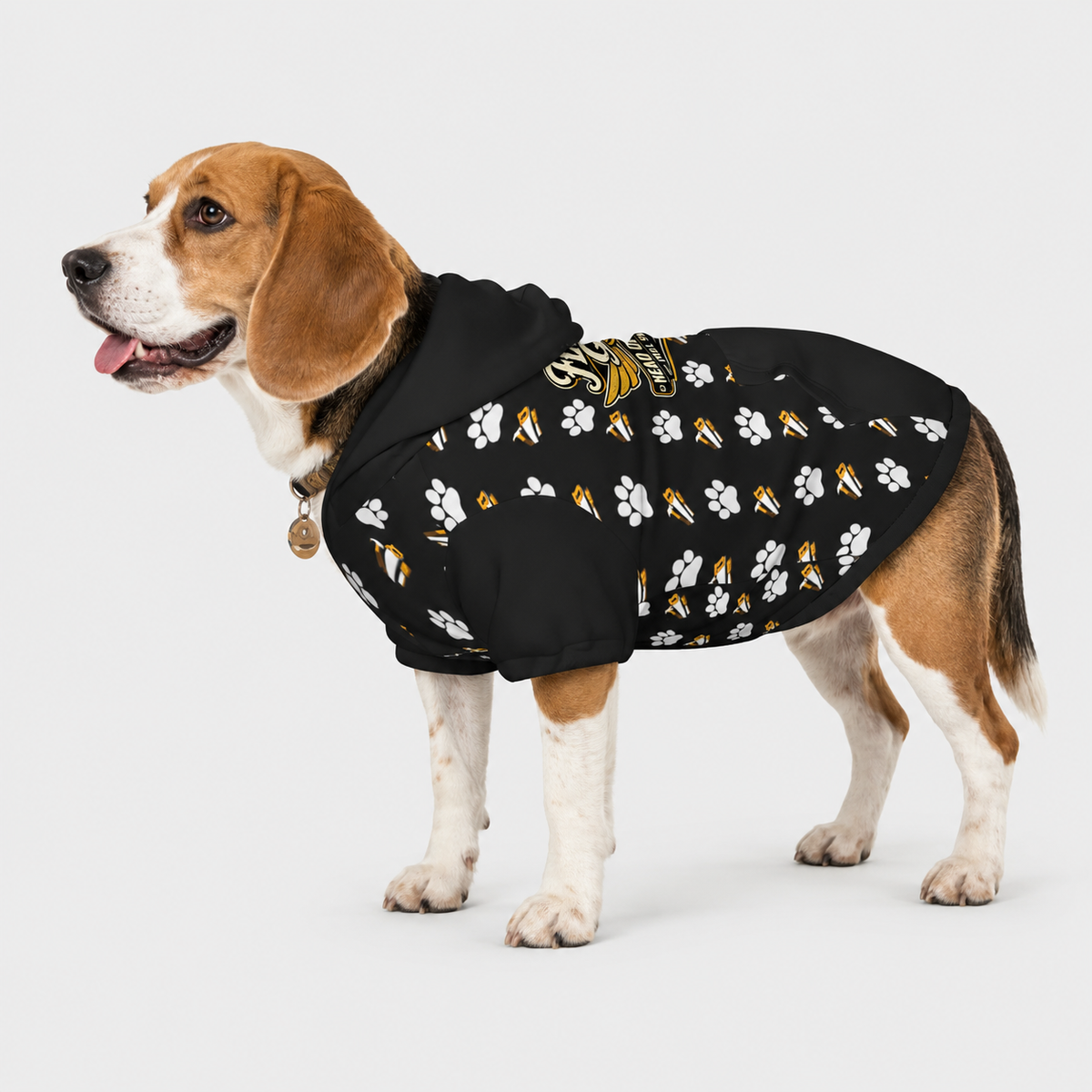Master Mechanic Pet Hoodie