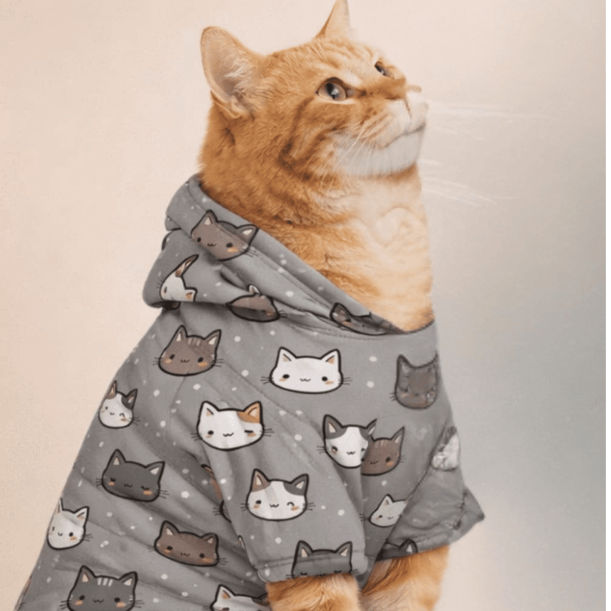Cat Face All Over Pattern Pet and Human Hoodie Set - FluffnCoSSAOPmatching