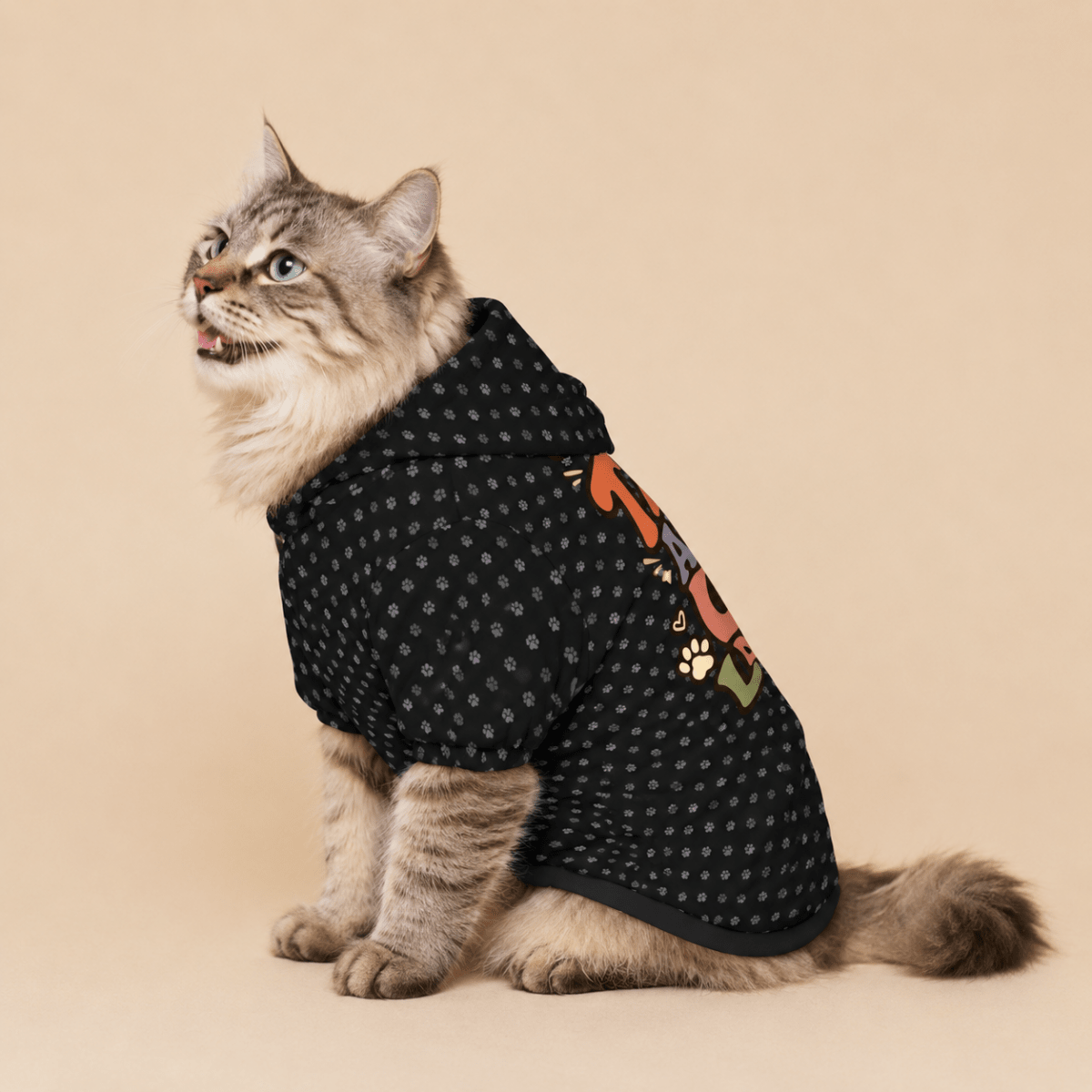 Cats are my Love Language Pet and Owner Hoodie Set - FluffnCoSandstonexsS