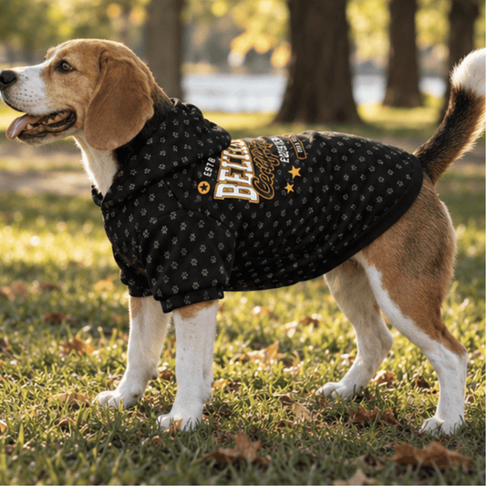 Certified Best Belly Rub Pet Hoodie - FluffnCoSAddon