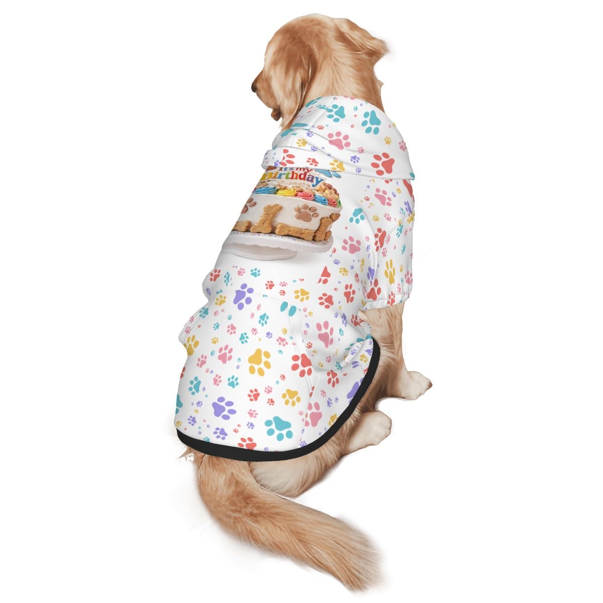 Dog wearing It's My Birthday. Special Hoodie for Birthday Pet. Hoodies for Cats and Dogs pet hoodie