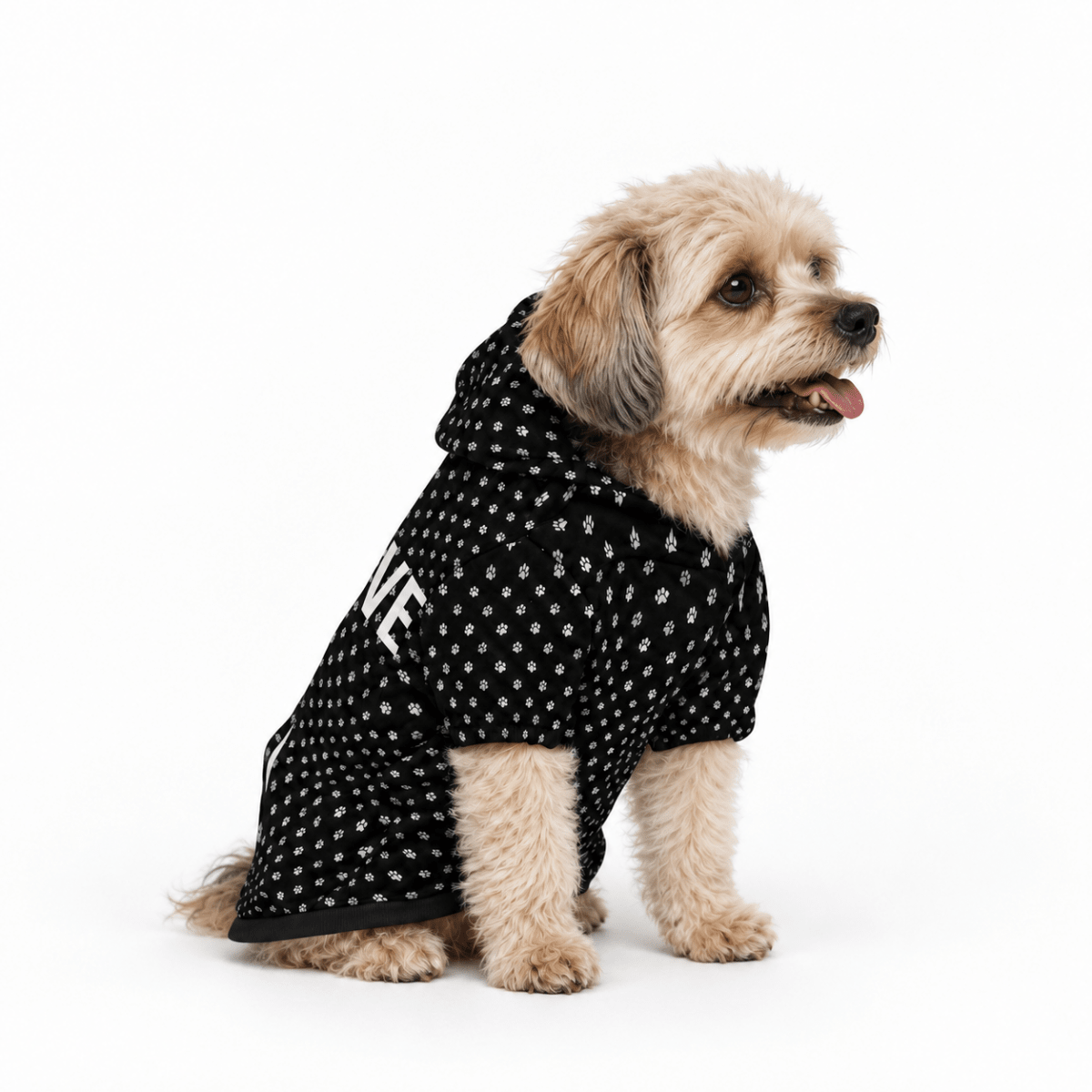 Collective Pet Hoodie - FluffnCoSAddoncats