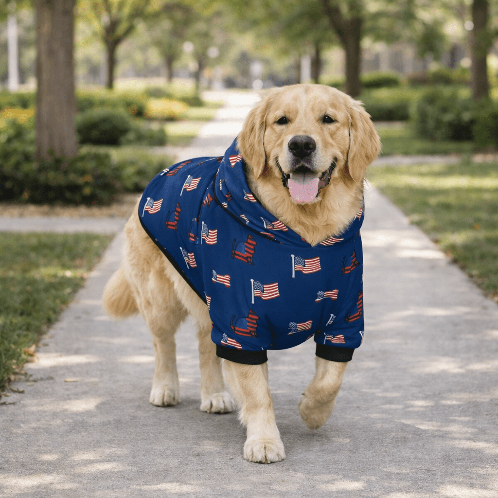 US Themed All Over Print Pet and Human Hoodie Set - FluffnCoSSAOPmatching