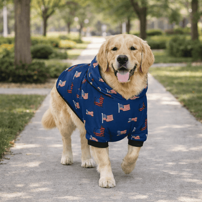 US Themed All Over Print Pet and Human Hoodie Set - FluffnCoSSAOPmatching
