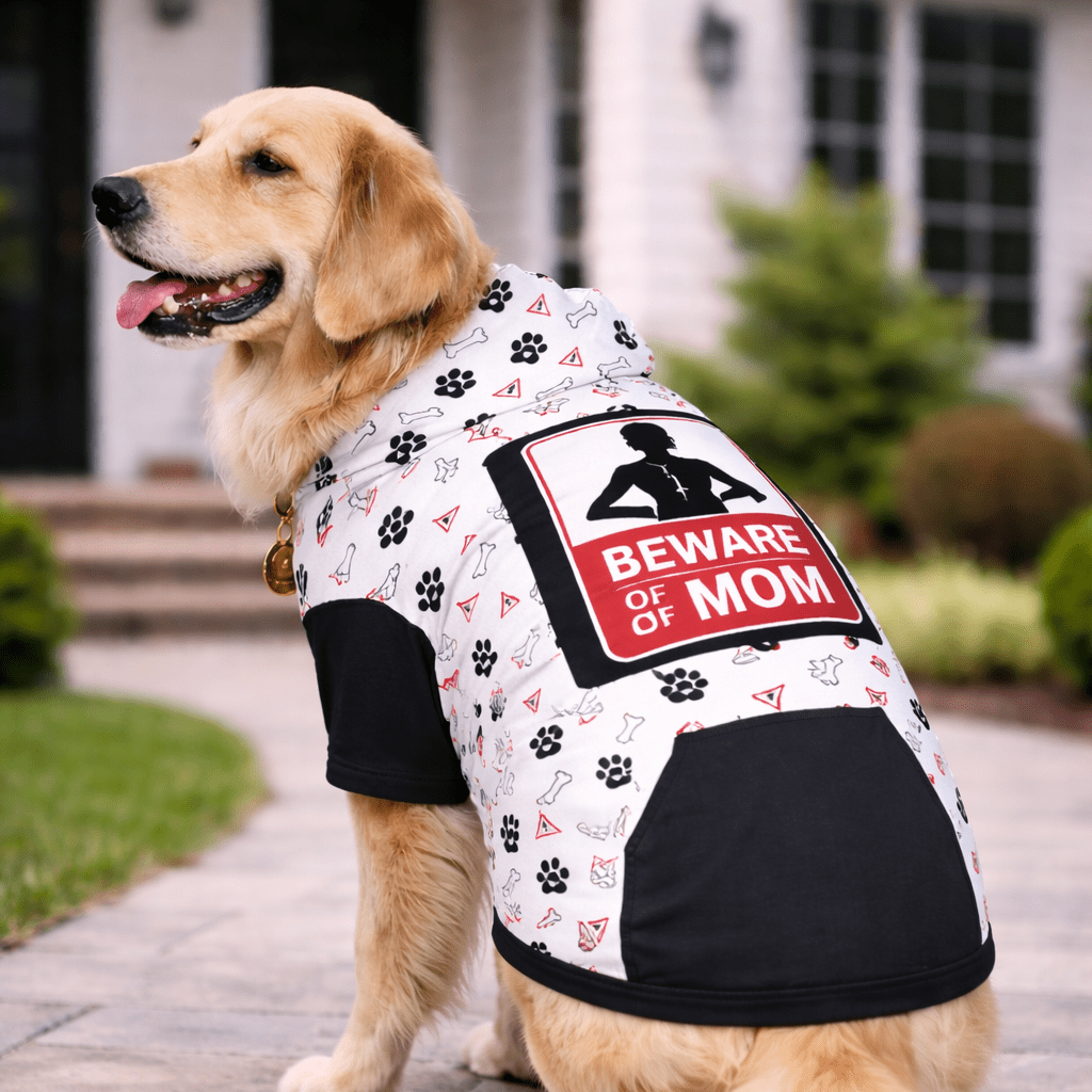 dog wearing beware of mom hoodie in front of house
