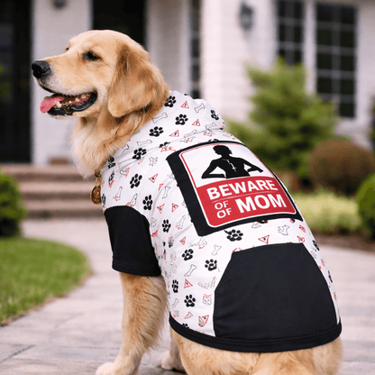 dog wearing beware of mom hoodie in front of house