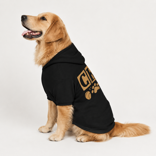 A golden retriever dog wearing a black pet hoodie with a gold graphic print, photographed against a clean white studio background.