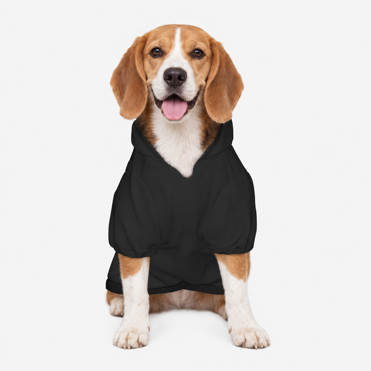 Coffee Cuddles & Chaos Pet Hoodie