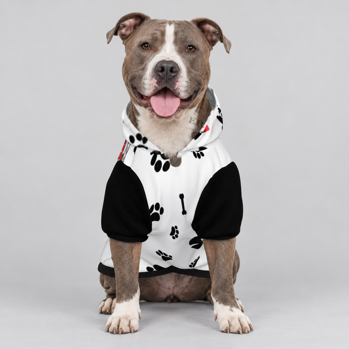 Chief Barker Pet Hoodie