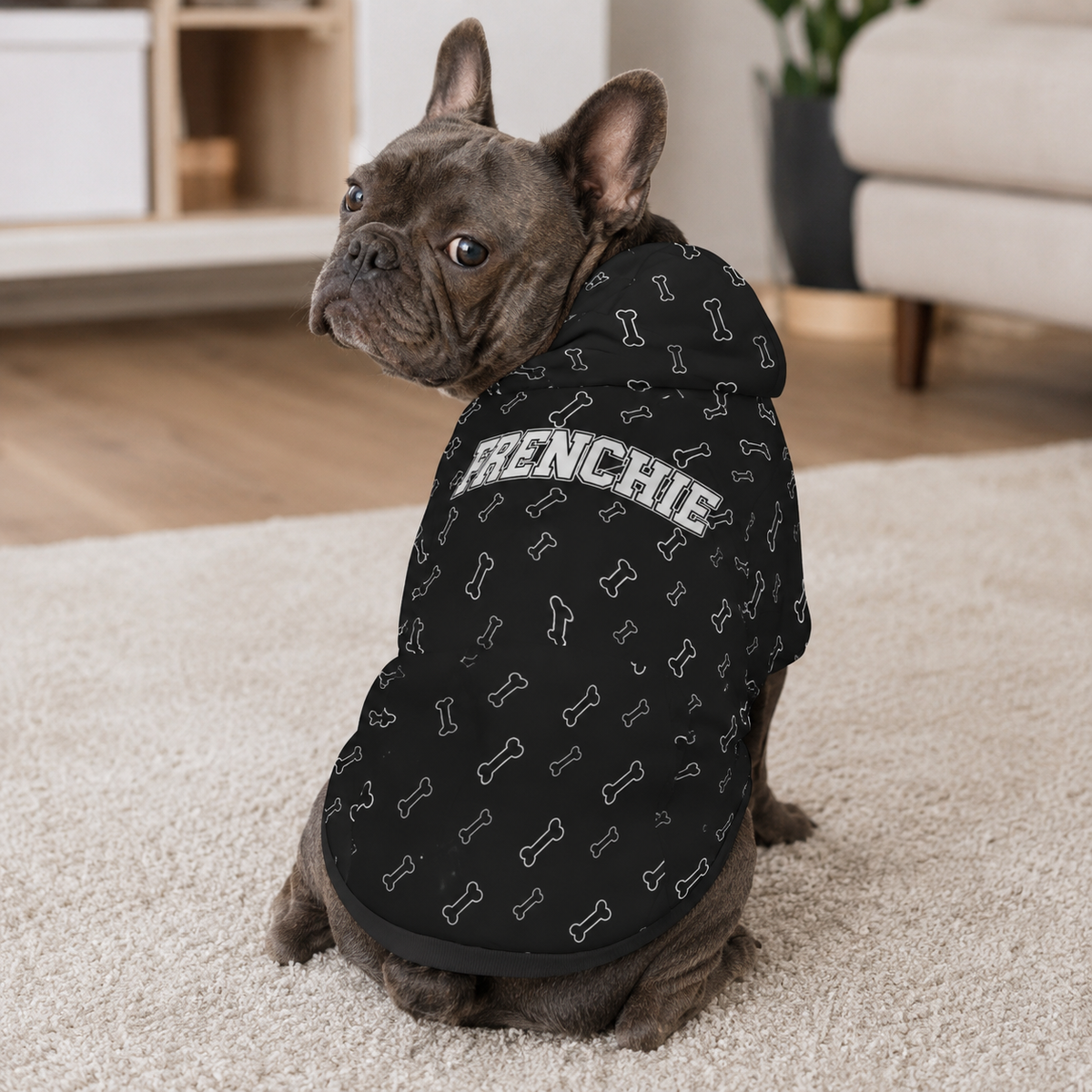 Dog wearing a black sweater with bone patterns and 'FRENCHIE' text in a living room.