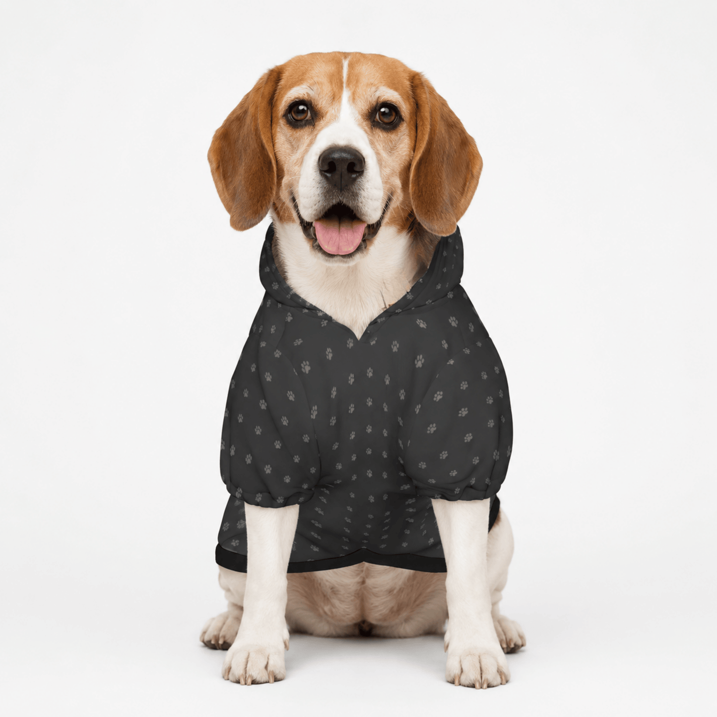 Captain & Co-captain Pet and Owner Hoodie Set