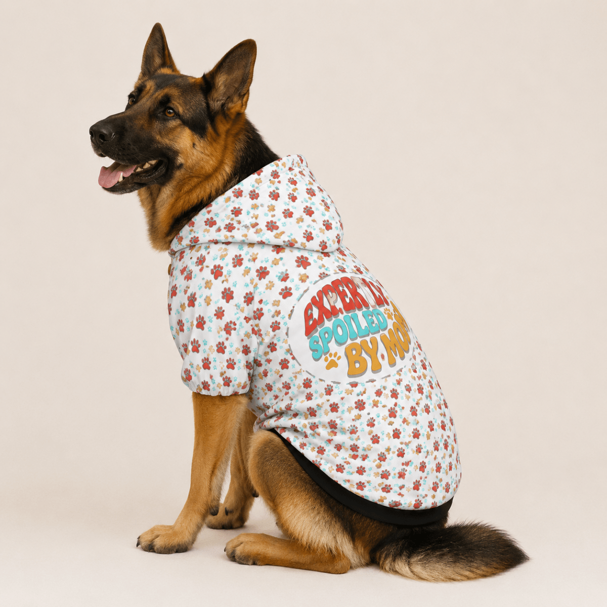 Gotta Spoil My Dog Human and Pet Set - FluffnCoblackxsSdog