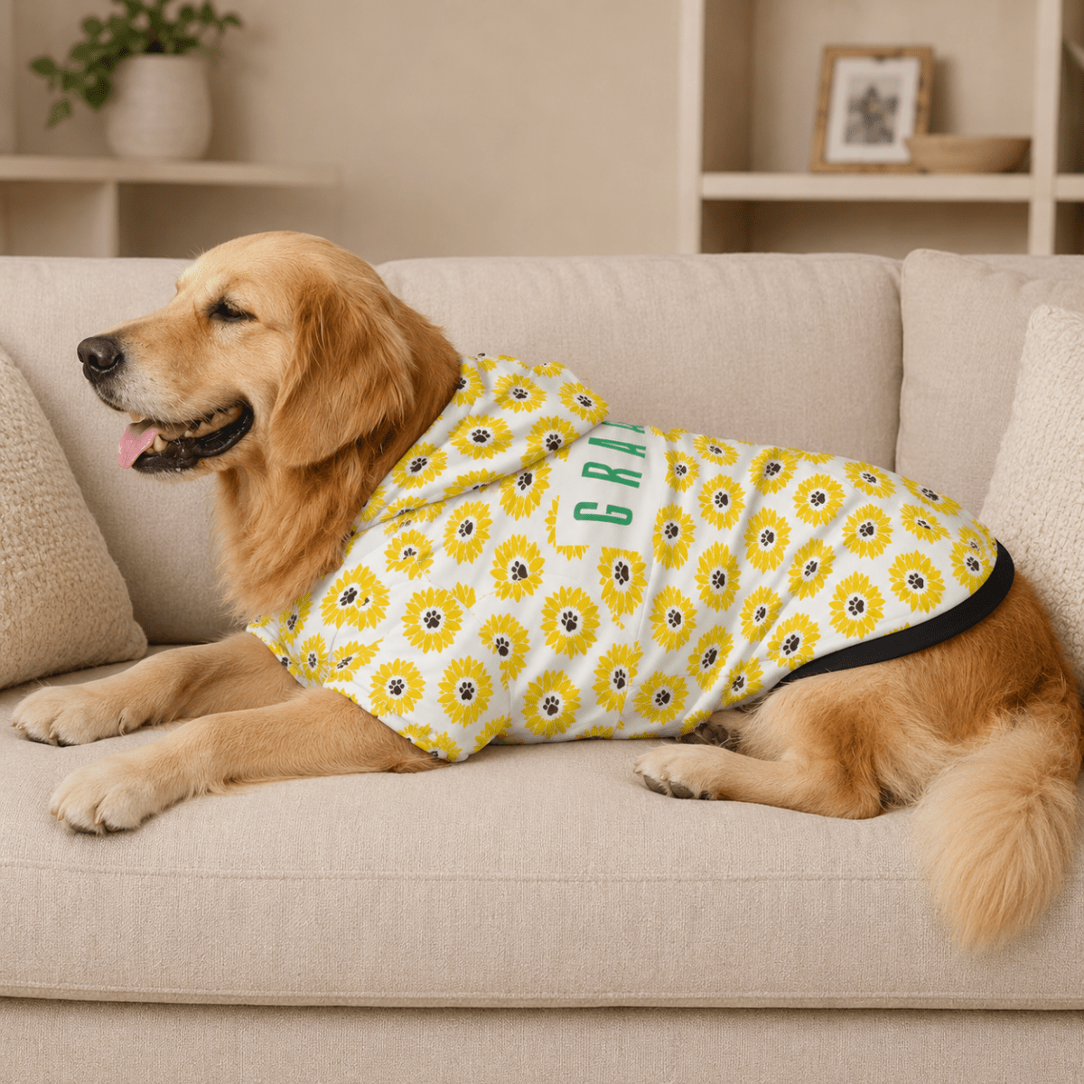 Grandmom & Grandkid Matching Pet & Owner Hoodie Set - FluffnCoSblackxs