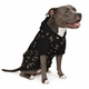 Hockey Pet Hoodie