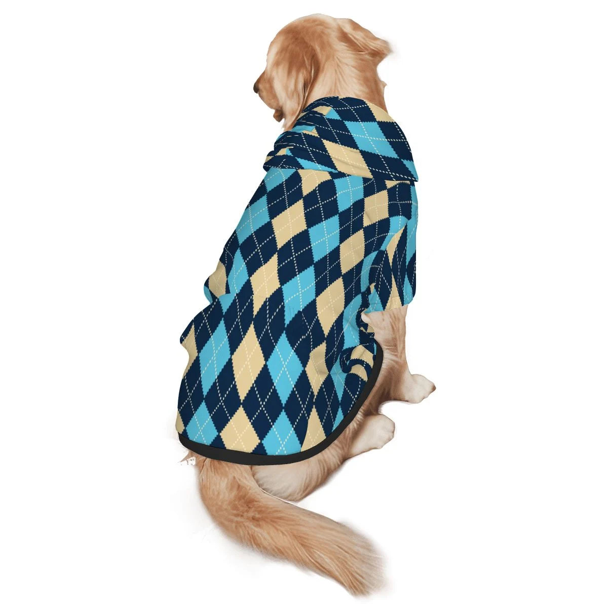 Dog wearing Blue and Yellow Argyle Back View