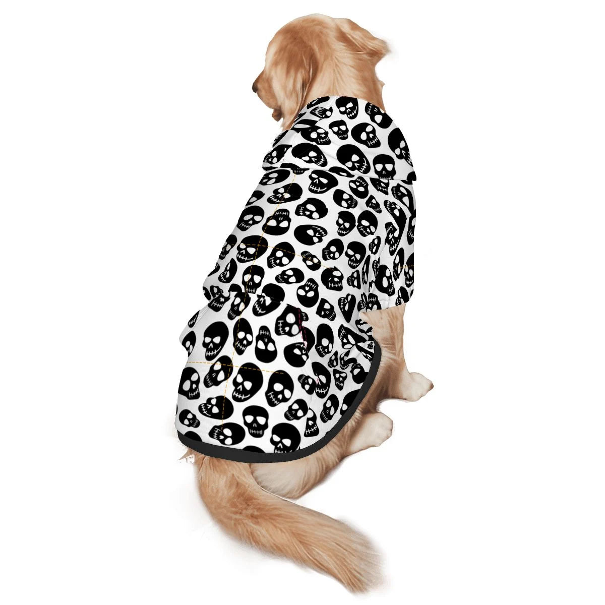 Dog wearing Skull Shape and Pattern Back View