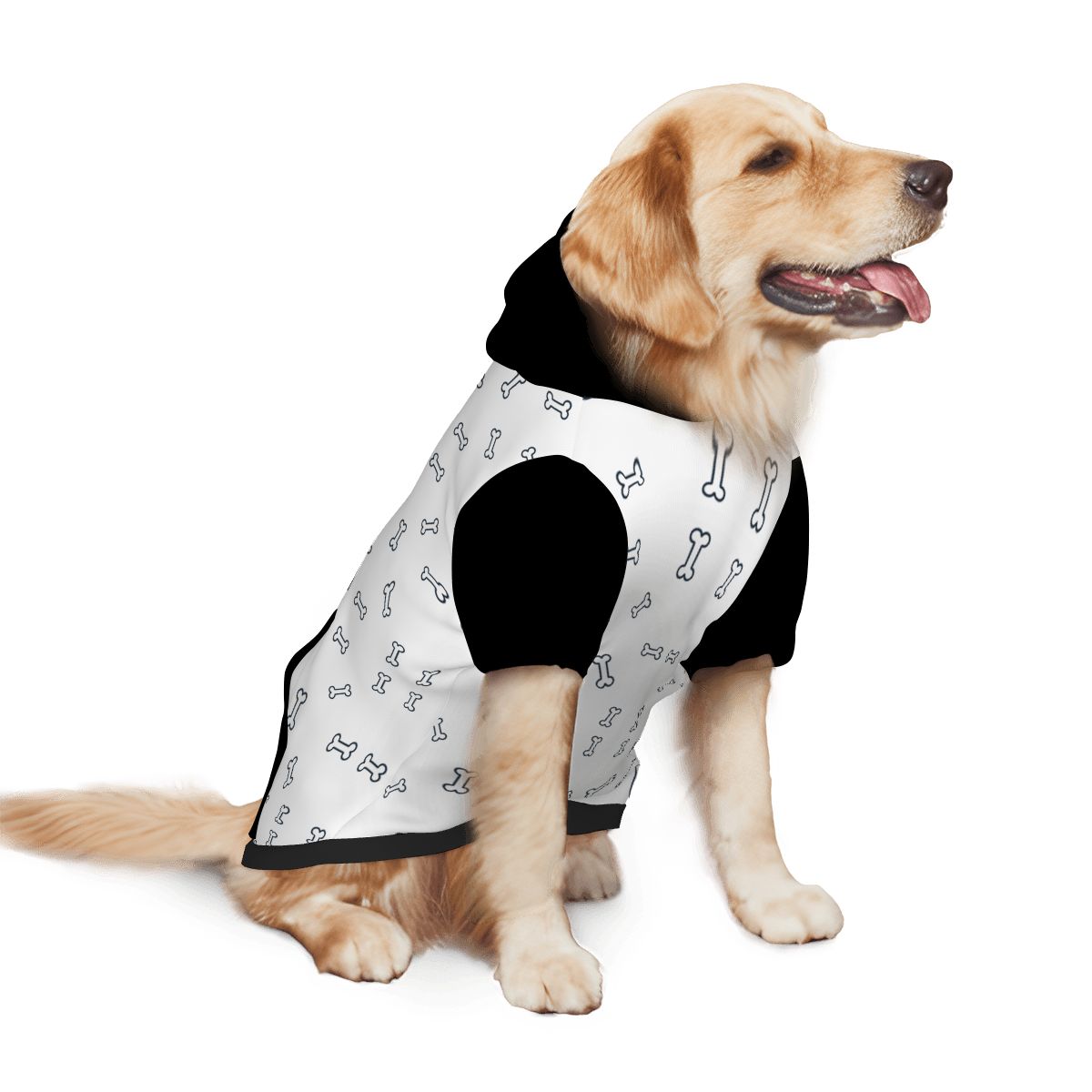 Dog wearing Who Rescued Who Back View