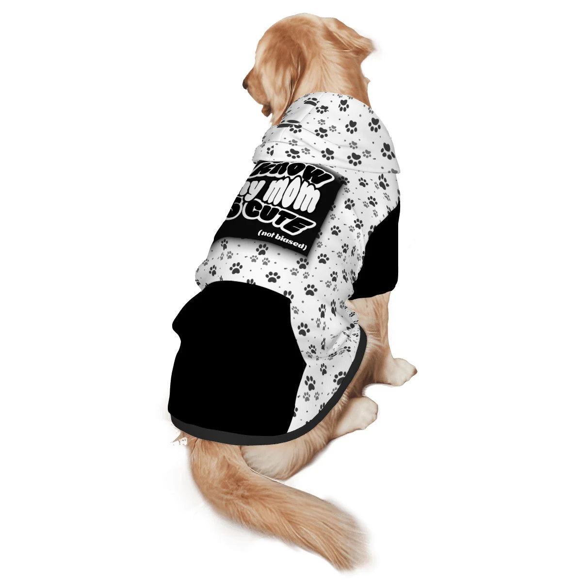 Dog wearingThinks I'm Cute  Pet Hoodie Back View