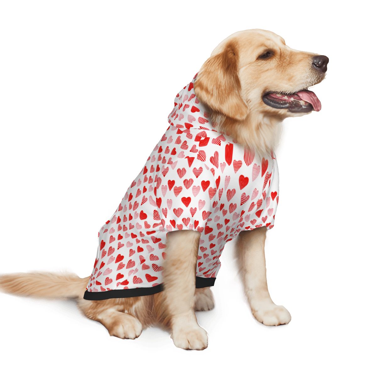 Dog wearing Heart in HeartsPet Hoodie Side View