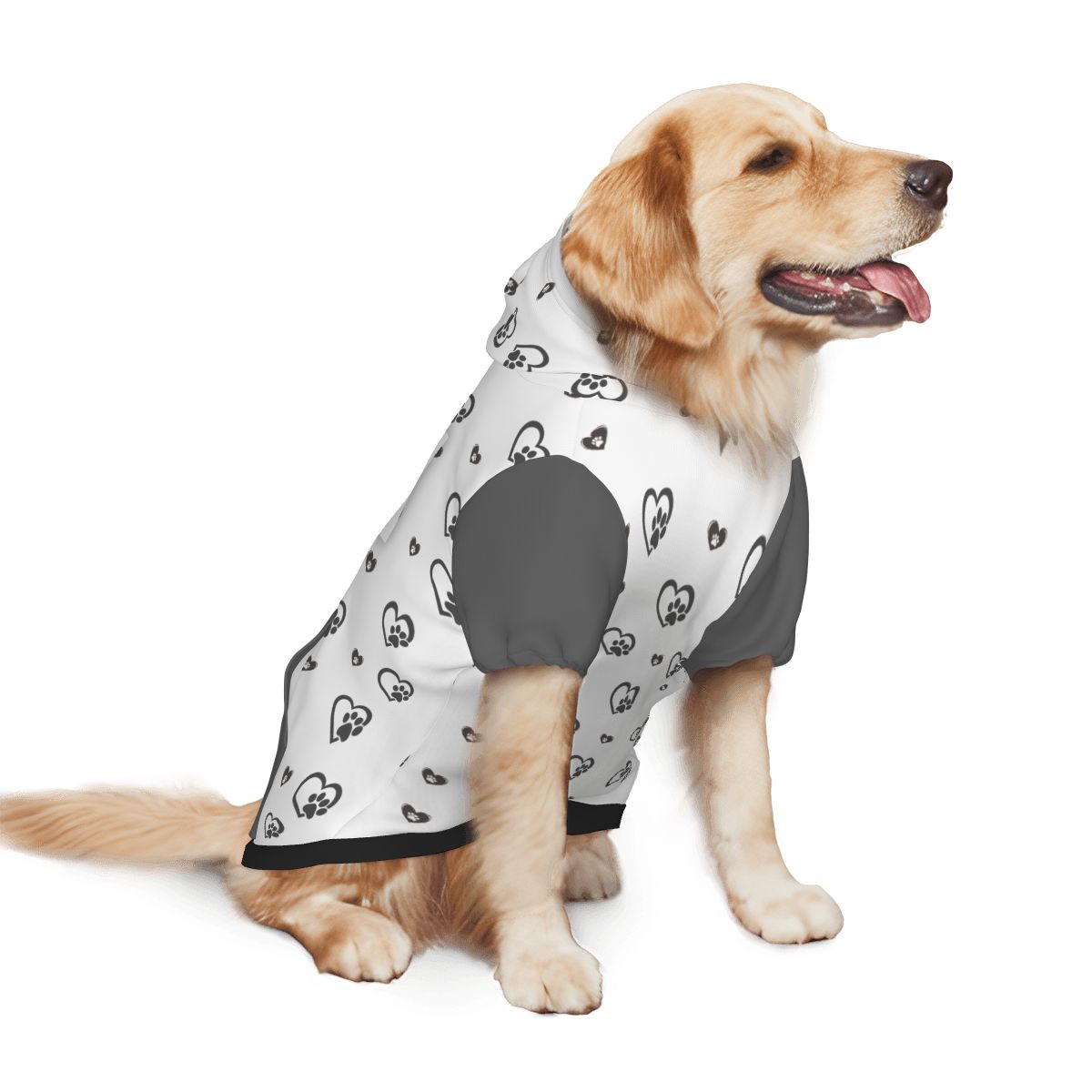 Dog wearing  Always Judging My Pawrent Add-On side view